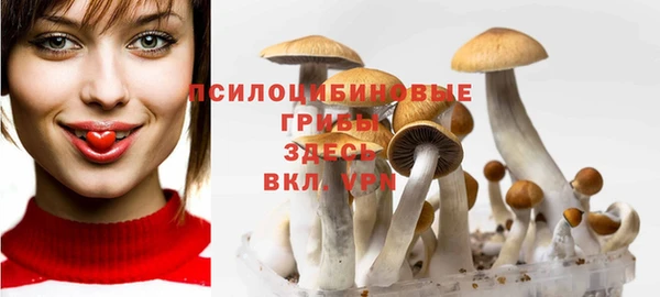 МДПВ Алексеевка