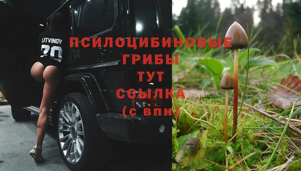 МДПВ Алексеевка